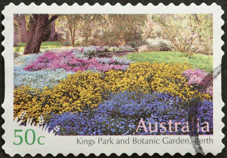Kings Park and Botanic Garden