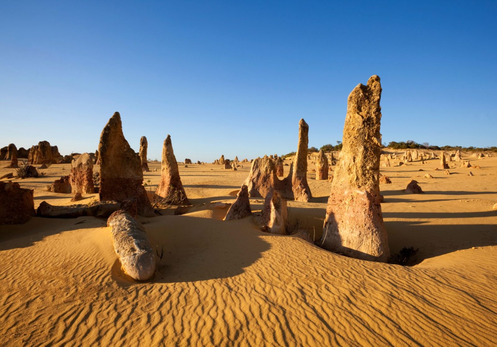 The Pinnacles Desert
